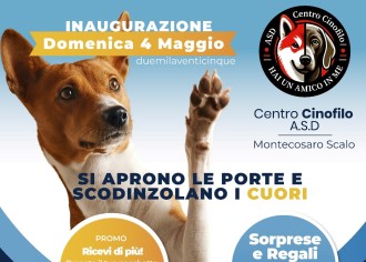 Hai un amico in me